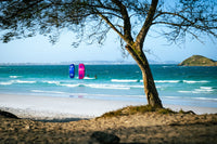 Duotone Evo SLS 2025