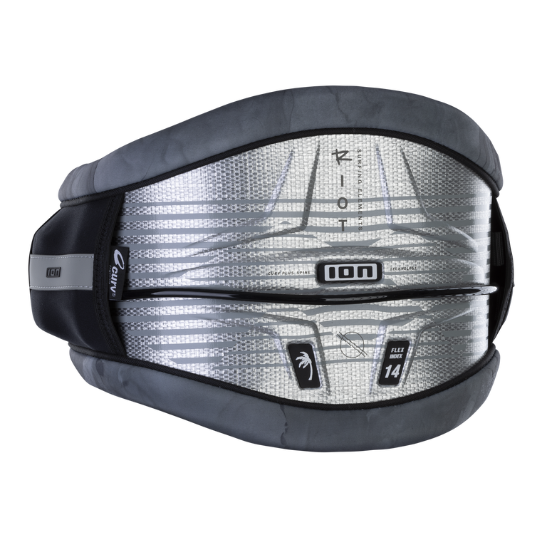 ION Riot Curv